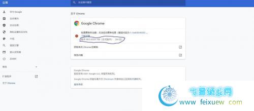 Google Chrome 浏览器 88.0.4324.150.x64 中文绿色便携稳定共存版 PC软件