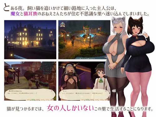 【RPG】恶魔と猫の隠れ里【939M】【百度云下载】 单机汉化