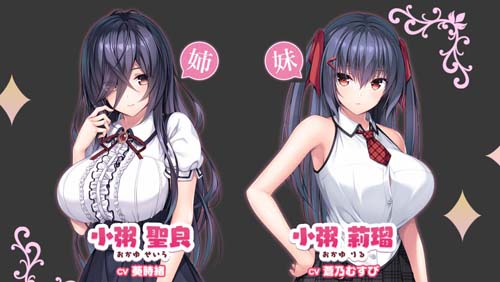 【ADV】小粥姉妹の粘膜ポトレ_ぐりぐちゃLIVE！【4.1G】【网盘下载】 单机汉化