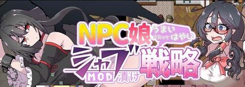 【RPG】NPC娘シャブ(MOD)漬け戦略【377M】【网盘下载】 单机汉化